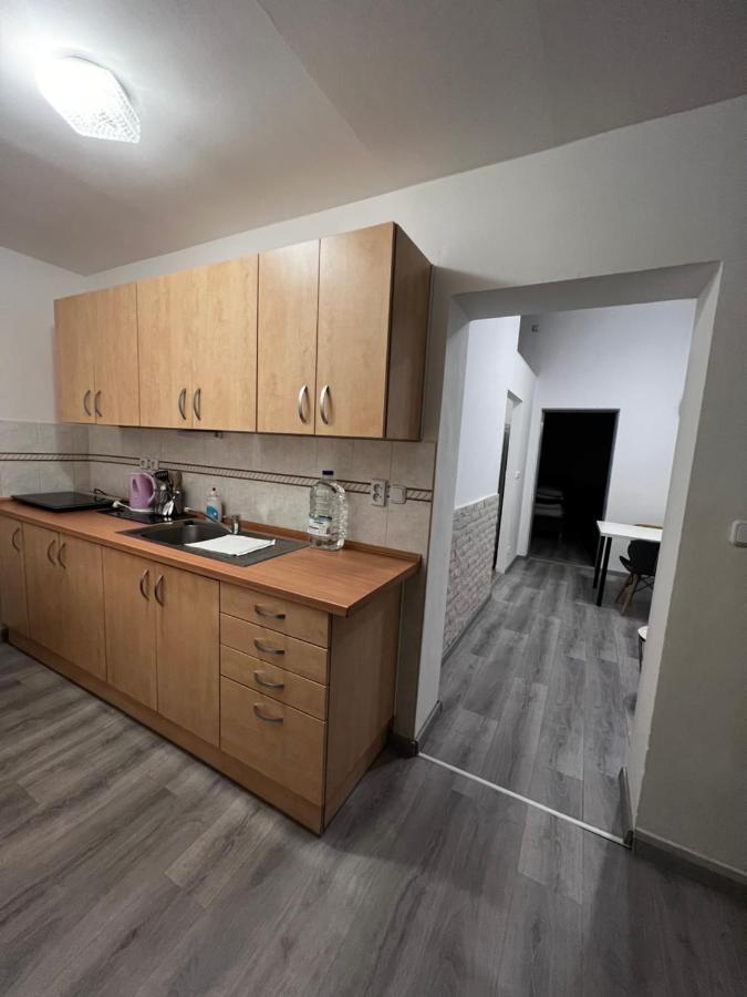 Mlynsky Ostrov Apartment 2 Zdice Bagian luar foto